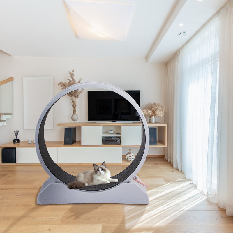 31 Inch Cat Treadmill Exercise Running Wheel