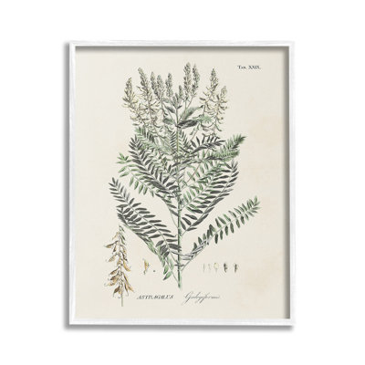 Forêt, plante, étude, giclée, ArtbyMartini