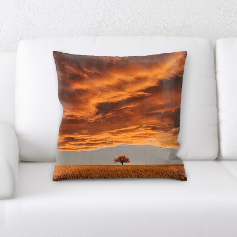 Coussin Sanadrug