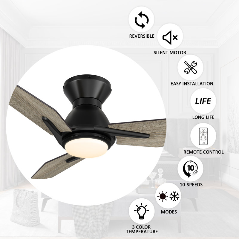 44'' Ceiling Fan with Light Kit