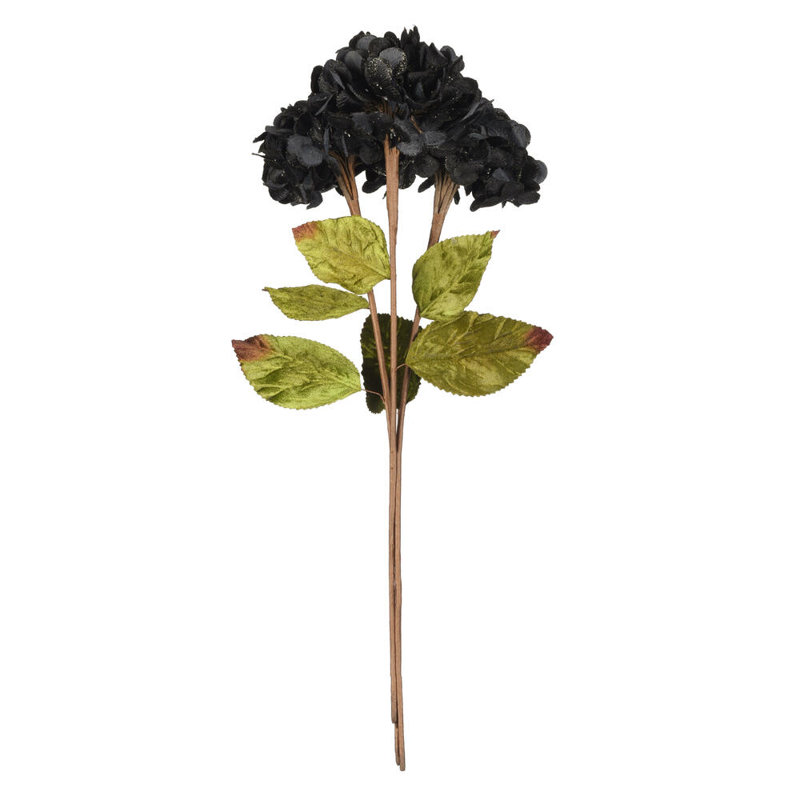 Hydrangea Arrangement, Brown