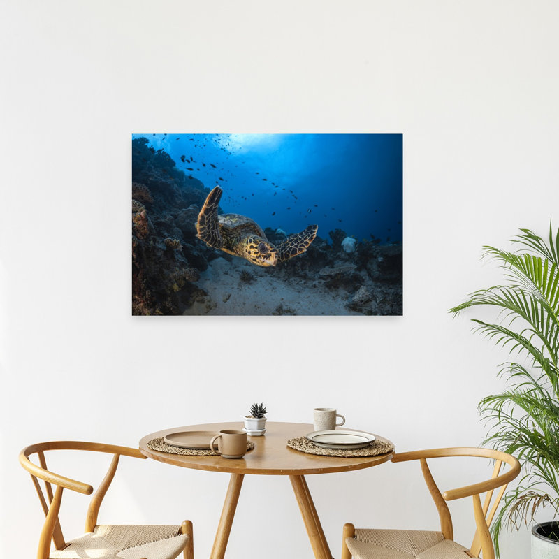 Swimming Hawksbill Turtle Serene Vibrant Fish Turtle Nature Ocean Wall Art Print 1 Piece Wrapped Canvas Wall Art