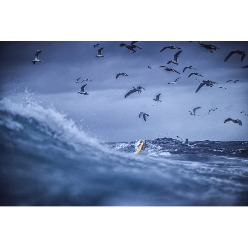 Fish Boat Vessel Fishing - Wrapped Canvas Print, 51cm H x 76cm W x 3.8cm D