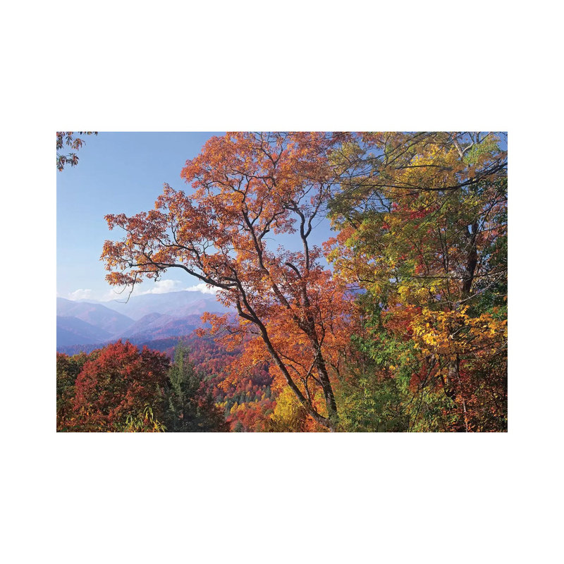 Deciduous Forest In Autumn, Blue Ridge Parkway, Great Smoky Mountains, North Carolina by Tim Fitzharris - Wrapped Canvas Print