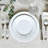 Puro Dinner Plate-24737366