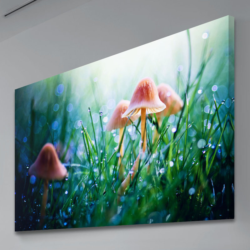 Wrapped Canvas Print, 101 cm H x 152 cm W x 3.81 cm D