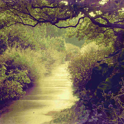 Photo Nature Stream