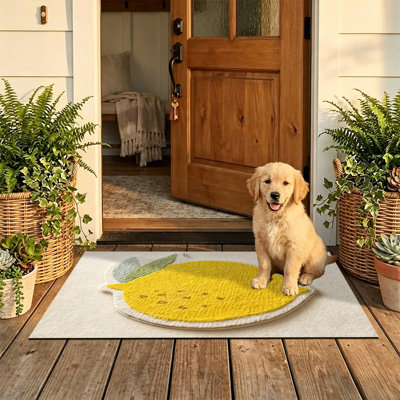  Non-Slip Indoor Outdoor Door Mat, 16"x24",3D plush lemon decorative