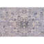 Wool Oriental Area Rug in Ivory