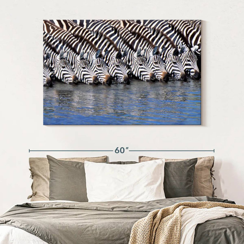 Crowle Zebras buvant de l'eau, H 34 po x l 51 po