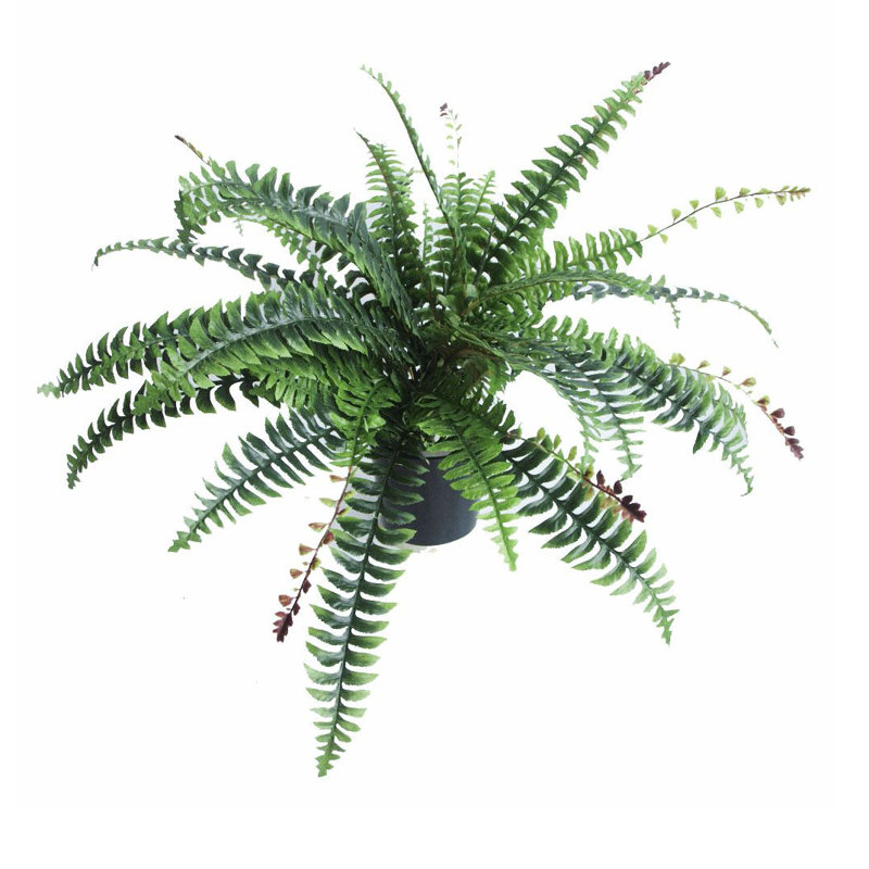60cm Faux Plant in Pot Liner, 60 cm x 60 cm