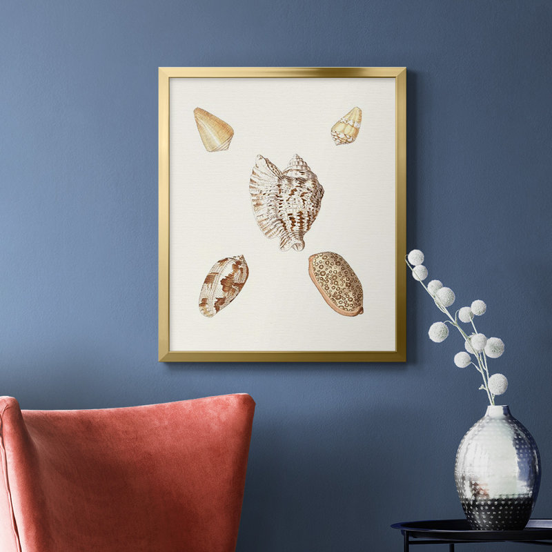 Toile encadrée Pastel Knorr Shells VI - prête à accrocher, Or, H 24 po x l 20 po