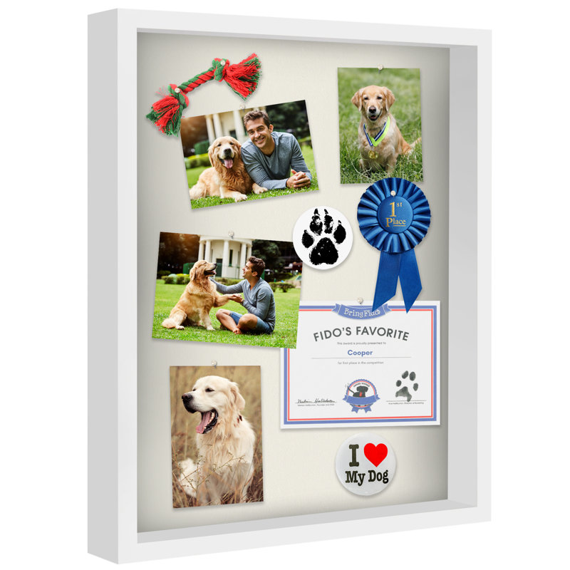 Cadre Delboxillo Shadowbox de 1,5 po de profondeur pour objets avec façade en verre, Blanc, L 16 po x H 20 po