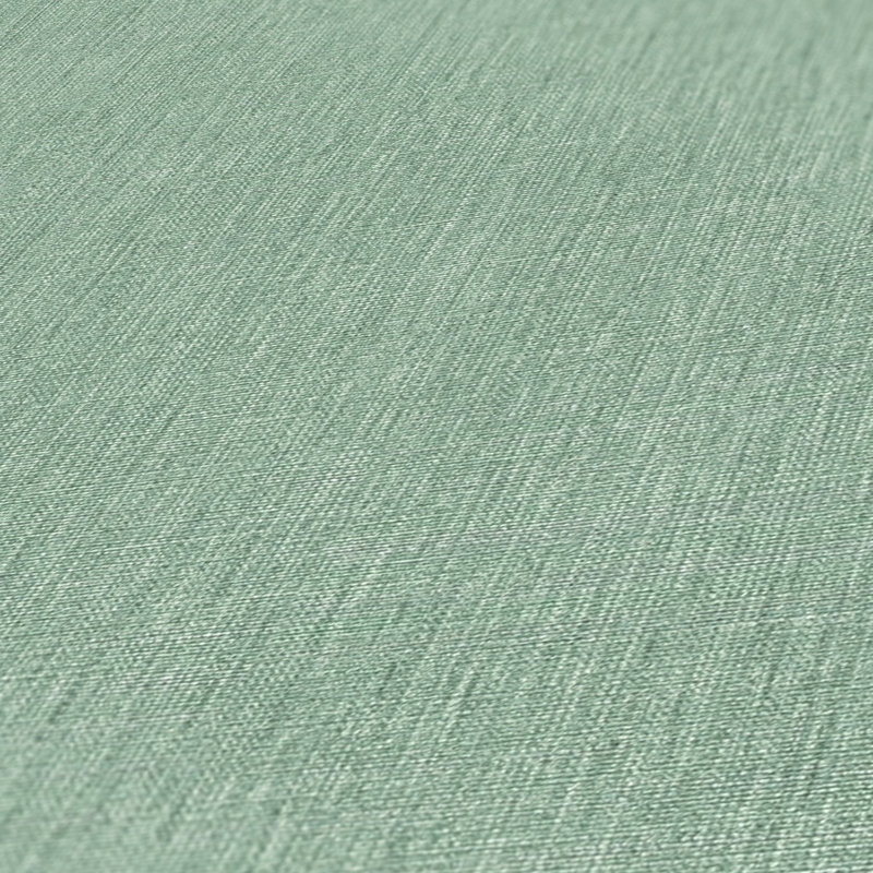 Rahnuma 10.05m x 53cm Matte Double Roll, Green