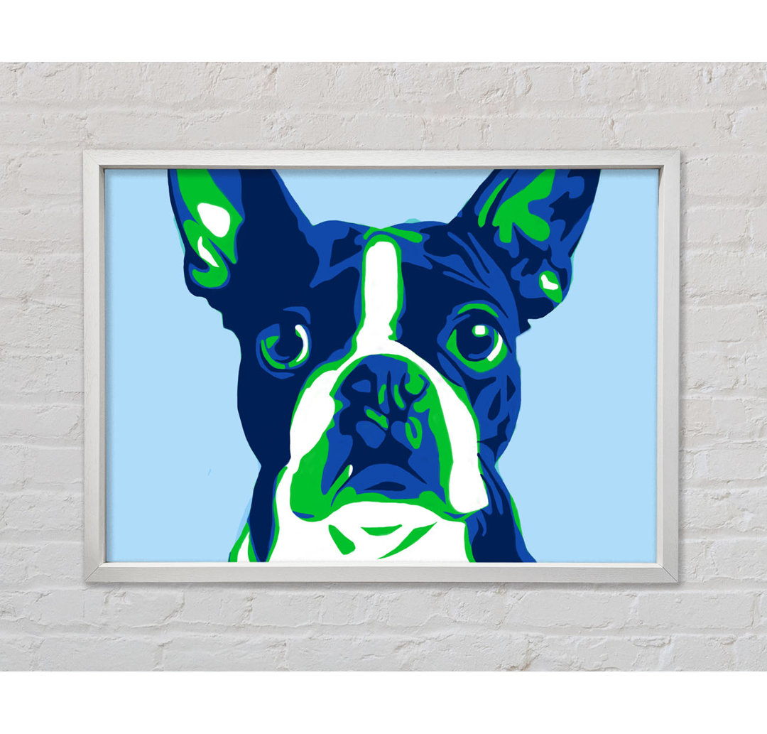 Die Französische Bulldogge Pop Art - Druck