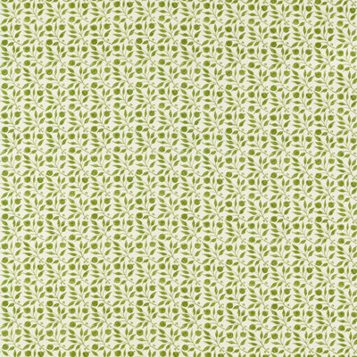 Rosehip Fabric