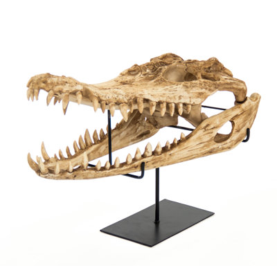 Alligator Skull Handmade Modern Landscape & Nature Wall Decor on Resin