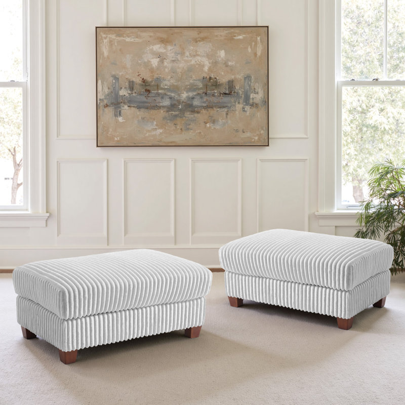 Modern Upholstered Faux Fur Square Ottoman(Set Of 2), Gray
