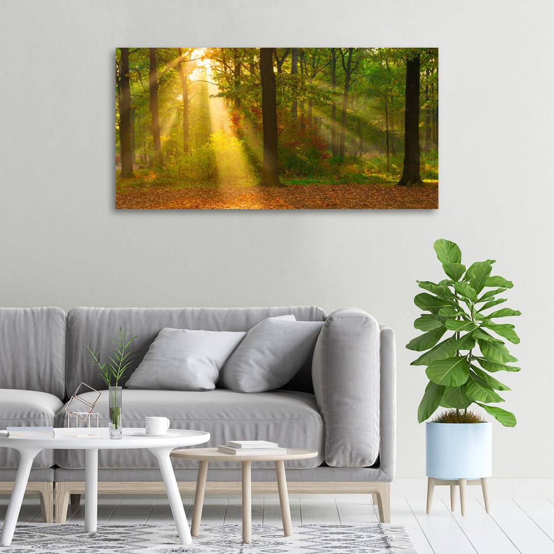 Wald in der Sonne - Ungerahmte Kunstdrucke auf Leinwand