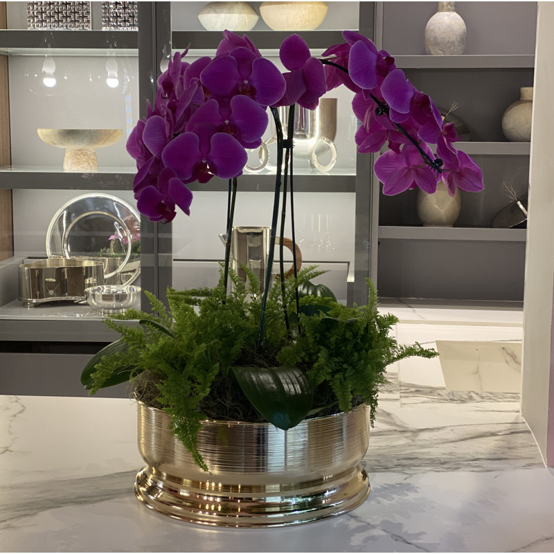 Vasos E Centros De Mesa Metal Planter, 16" H x 16" W x 6" D