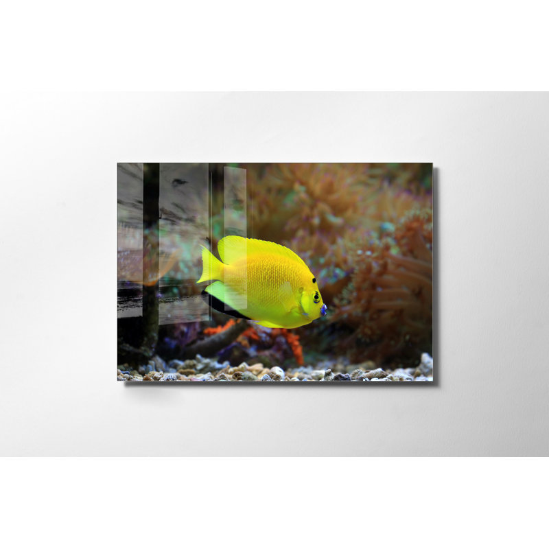Verre 2, H 27,6 po x l 39,4 po x P 1 po