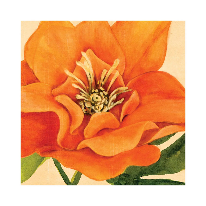 Copper Petals II by Annie Warren - Wrapped Canvas Print, 30.48 cm H x 30.48 cm W
