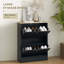 Armoire à chaussures mince pour le vestibule - 2 tiroirs rabattables avec tablettes réglables, peut contenir 12 paires, noir