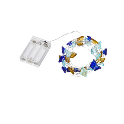 Indoor / Outdoor 30 - Bulb 1 in. Battery Powered LED Novelty String Light