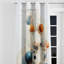 Sarcelle orange, dessin au trait, symbolisme - rideau noir-336095109-335907933