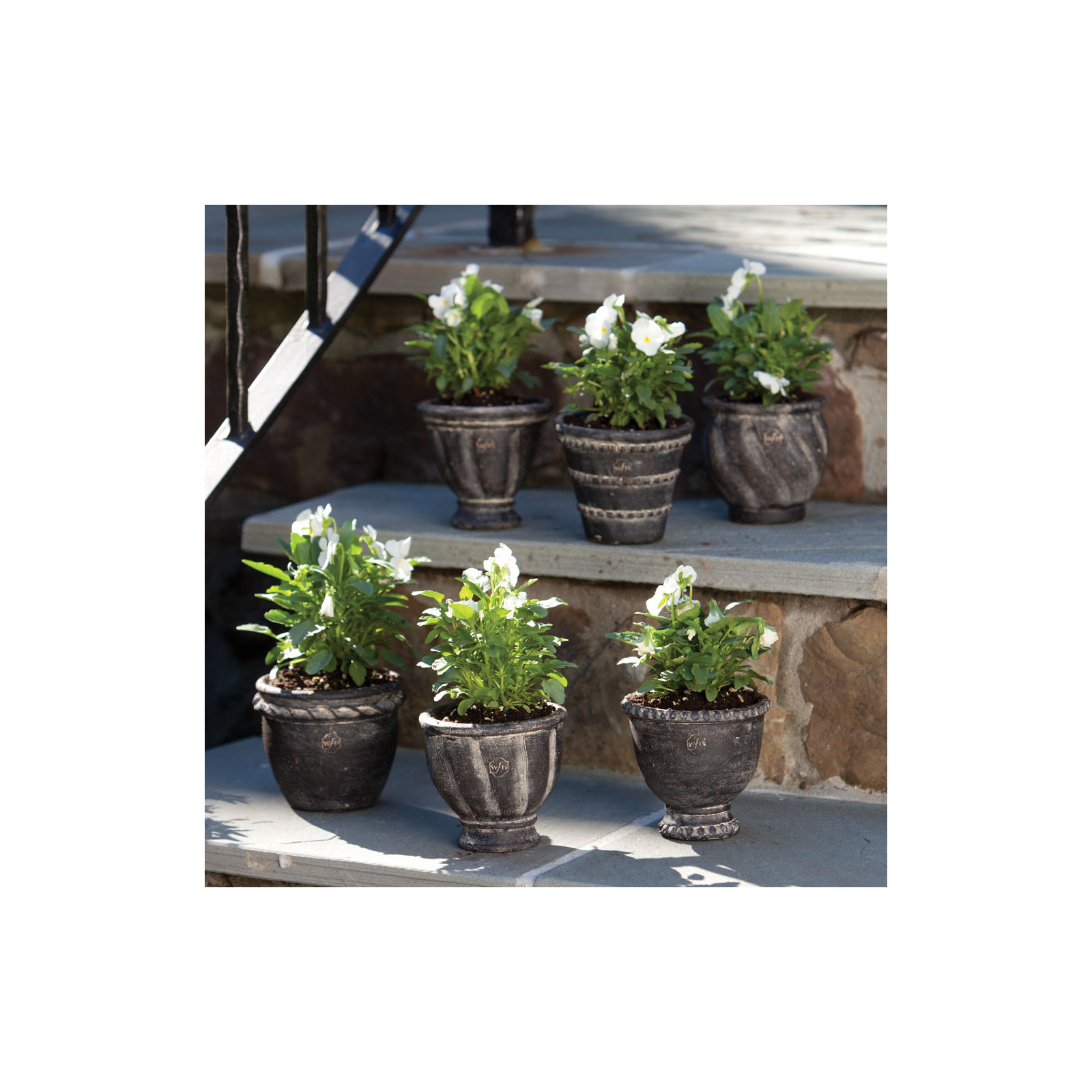 Middlefield 6 - Piece Clay Pot Planter, Black Earth