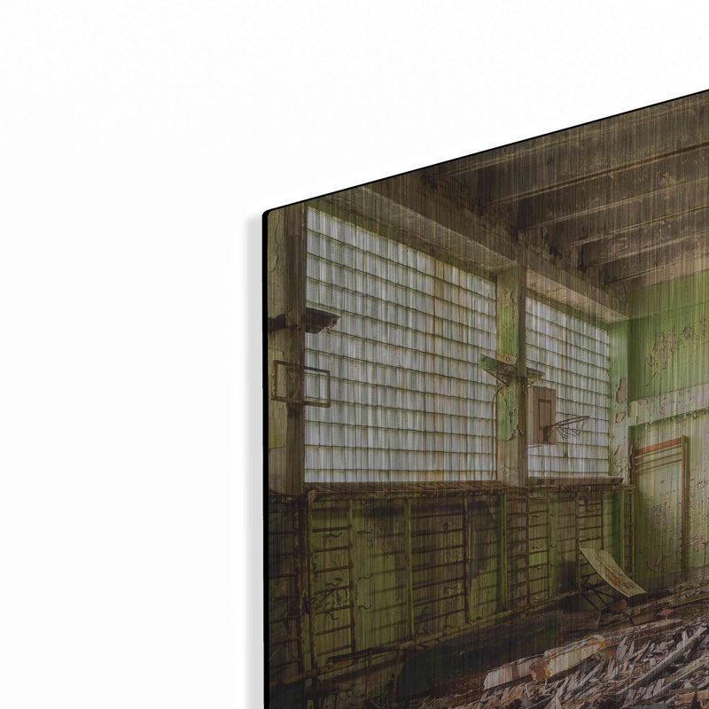 «Radiation Gym» par Roman Robroek, H 24 po x l 36 po