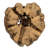 4 -18" Assorted Cholla Odds & Ends bulk case. Dried