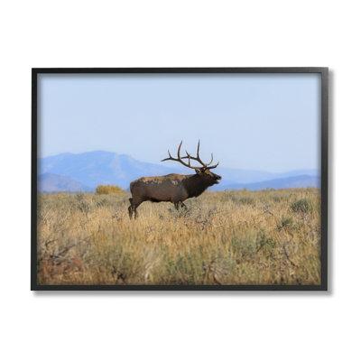 Photographie de cadre photo sur bois aggloméré Elk