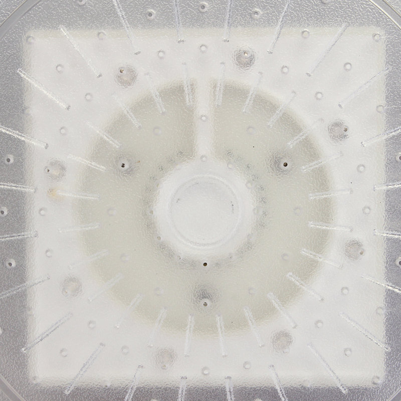 Full/Standard Adjustable Shower Head, White
