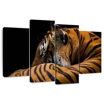 Tigre majestueux Brampt