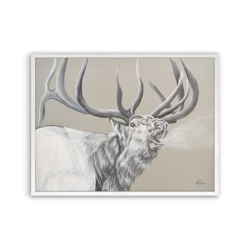 «Wail Bugle» par Diane Fifer, reproduction d'art, L 40 x H 30, Impression encadrée, Blanc