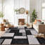 Arnaldur Geometric Black/Gray/White Area Rug-1011346200