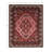 Saloma Oriental Indoor Rug-79107738