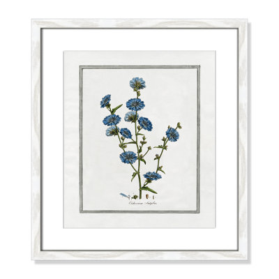 Colombe "Soft Botanical I" Print