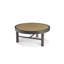 Aster Cocktail Table-159418758