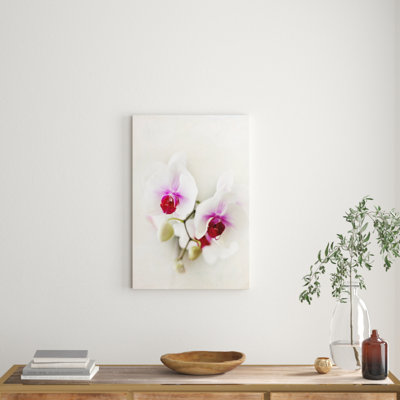 Sylvia Cook - Wrapped Canvas Print