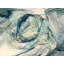 Bluish Print by Rica Belna-83320856-83320857