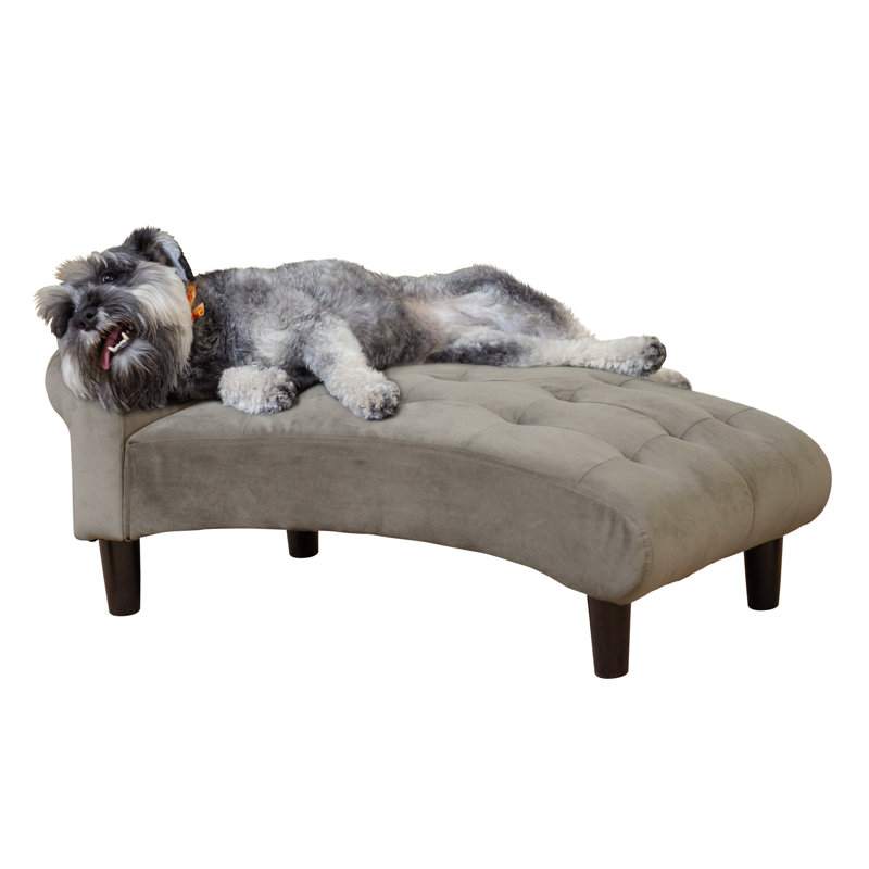 Canapé pour chien Hymel, Beige