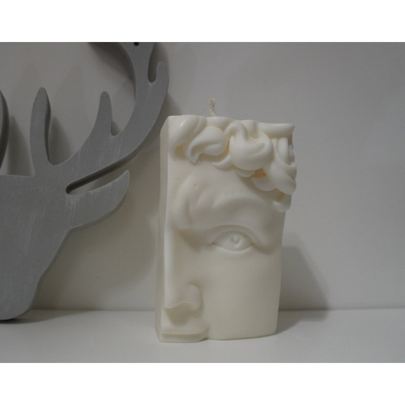 Lemongrass & Eucalyptus Scented Novelty Candle