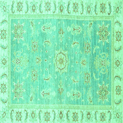 Oriental Indoor Rug