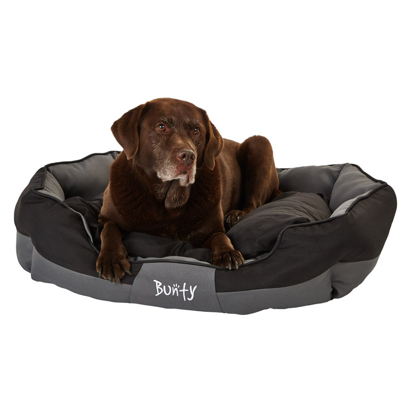 Levesque Polyester Pet Bed, 25cm H x 90cm W x 70cm D, Black