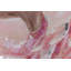 Hand -painted Butterfly Ballerina Acrylic Painting