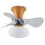 Kosie 21.25'' Ceiling Fan with LED Lights-607236731