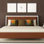 Coussin Glorious Colors-23819271
