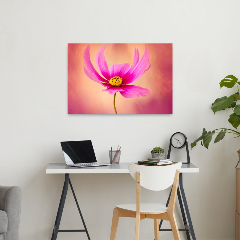 Vibrant Pink Cosmos Bloom Delicate Dreamy Elegant Flower Nature Wall Art Print 1 Piece Wrapped Canvas Wall Art